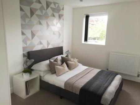 PHOTO-2019-11-10-20-05-48 (1)