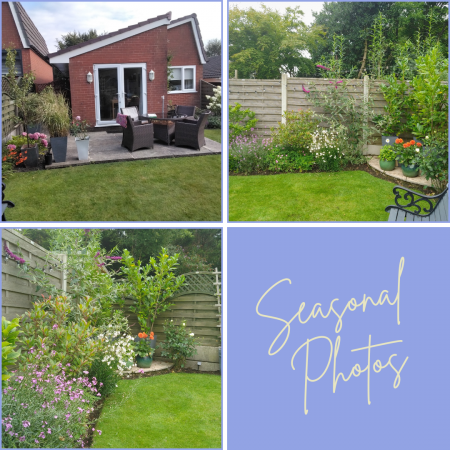 Seasonal Garden Phot