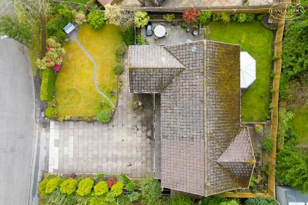 Plot