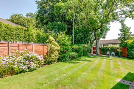 Rear garden