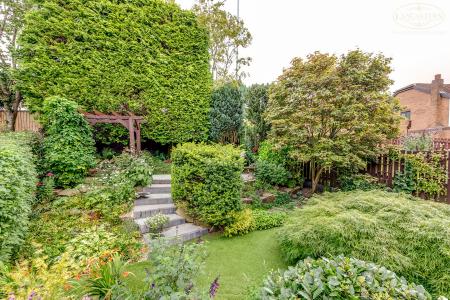Mature Garden Sanctu