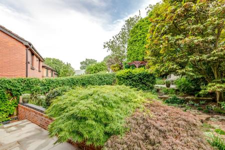 Mature Garden Sanctu