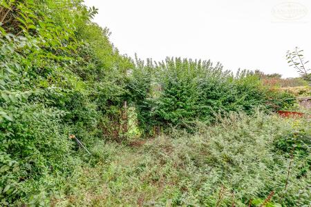 Shrubbery