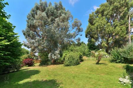 Gardens