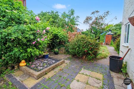 garden