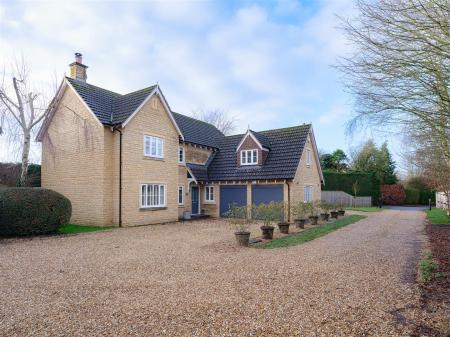 36 Lime Trees-35.jpg