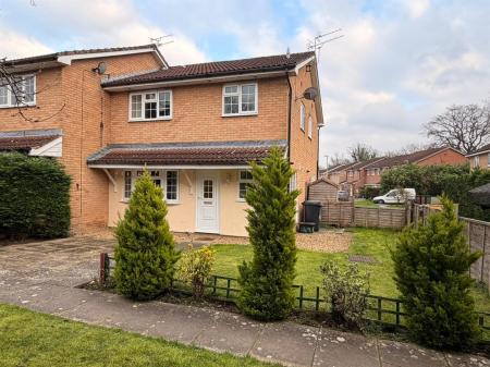 WhatsApp Image 2026-03-10 at 10.25.14.jpeg