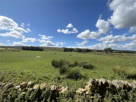 Picture No. 12