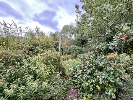 Picture No. 32
