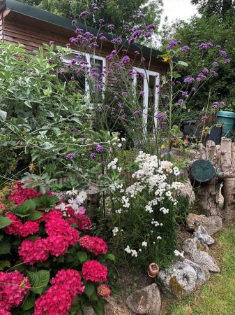 Julian Garden v4.jpg