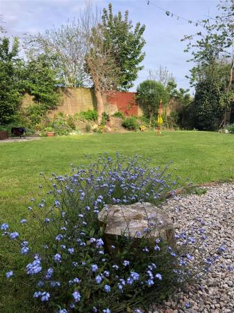 Julian Garden v3.jpg