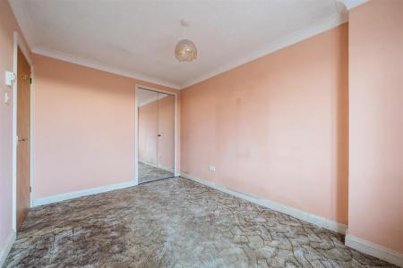 New Meadow Bed  1..jpg