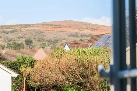 Honeysuckle View.jpg