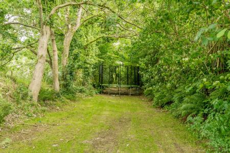 Earlscombe Garden..jpg