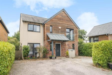 Longstem Frontbl.jpg