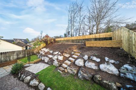 New Meadow Garden.jpg