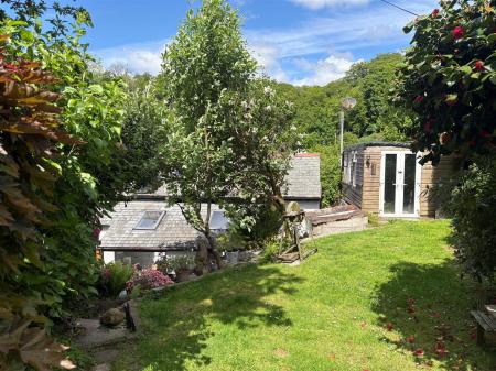 cmIvy Rear Garden.jpg