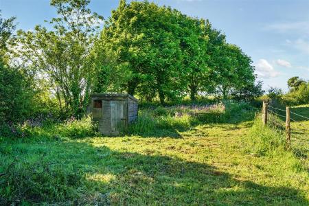 Ladywell Garden 2.jpg