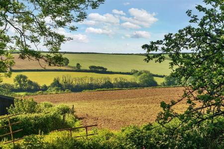 Ladywell View.jpg