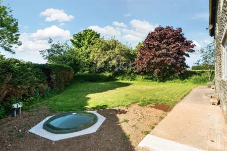 Ladywell Side Garden.jpg