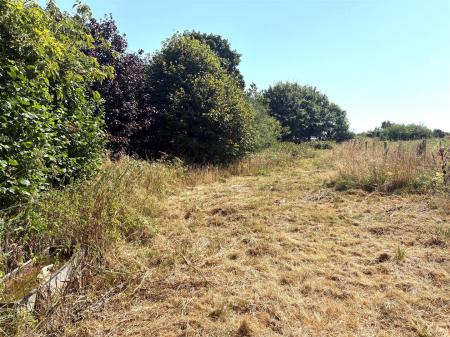 cmLadywell Field ED.jpg