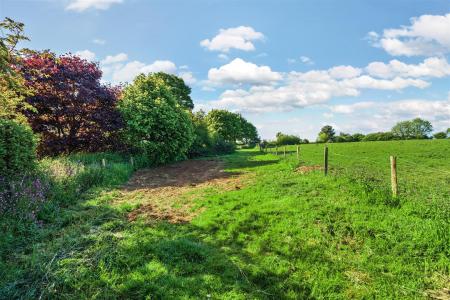 Ladywell Garden 1.jpg