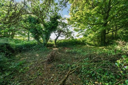 Ladywell Garden 3.jpg