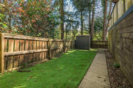 Sumner Garden..jpg