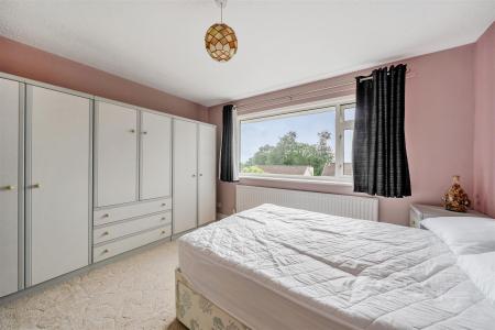 Buddle Bed 2..jpg