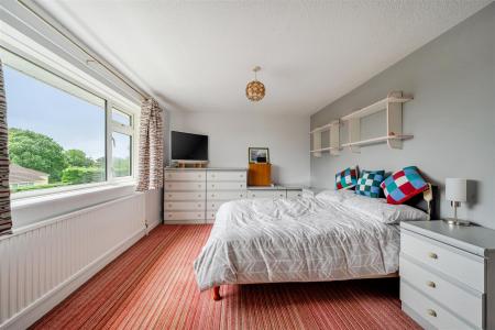 Buddle Bed 1..jpg