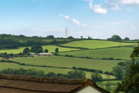 Buddle View.jpg