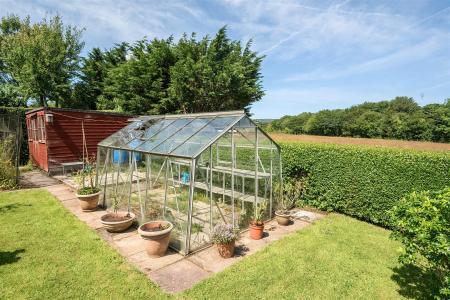 Meera Workshop Greenhouse..jpg