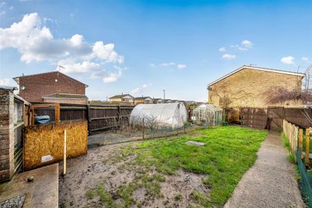 Vegetable Section & Chickens
