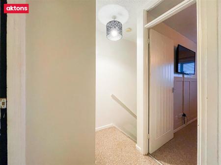 IMG_3270.HEIC (1).jpg