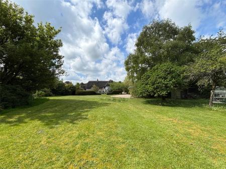 View From Garden