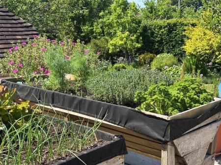 Herb Beds