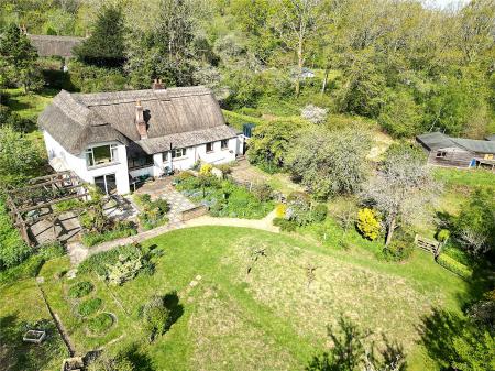 Aerial Rear