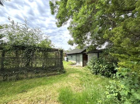 Shed/ Fruit Cage