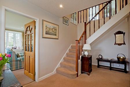 IMG_0876.jpg
