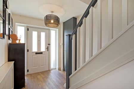 IMG_4239.jpg
