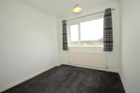 WhatsApp Image 2025-05-21 at 15.17.29.jpeg