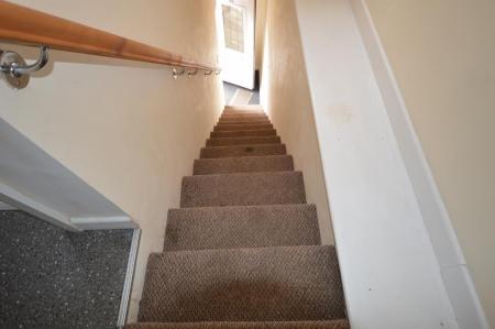 DSC_0474 (1024x681).jpg