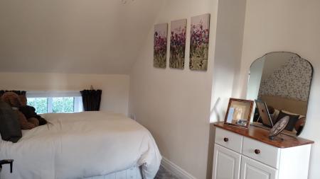 Photograph 28