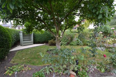 Photograph 22