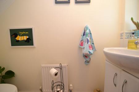 Photograph 5