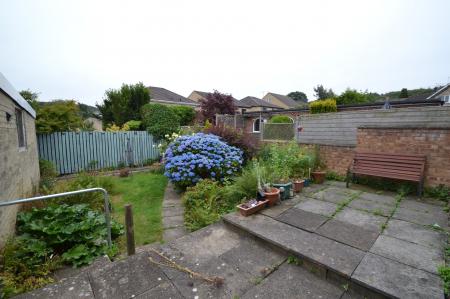 Photograph 7