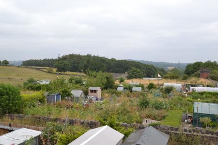 Photograph 15