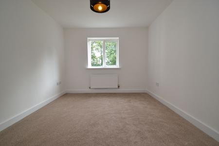 Photograph 8