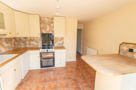 Hawk Close-08 - t.jpeg