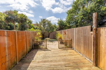 Hawk Close-09 - t.jpeg